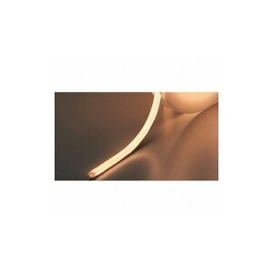 XKclH (220042039)LED-TAPE-F-2000WW/LEDCg LED-TAPE-F-2000WW XKclH() ƓEƖpi Ɩ(s)yz
