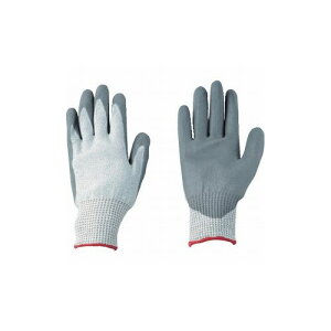 Ag ck[K PUR[g L HG-185 Ag() Ǝ ϐؑn(s)