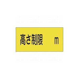 Ώ\ ԏ֌WW Tm -13 300×600mm Gr 107013 WEW SW(s)