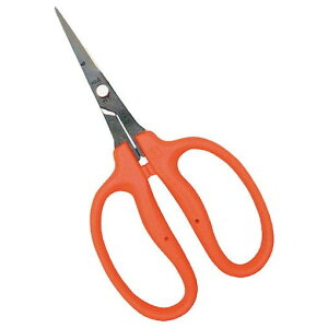 `J}T E  B500H |pi |pi Ήpi nT~(s)