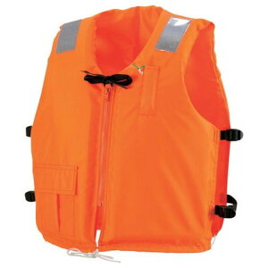 I[VCt ƗpCtWPbg IW TYPE A C3OR Ppi Ppi h hƗpi pi(s)yz