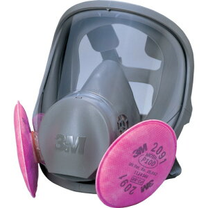 3M ֎h}XN 6000F 2091-RL3 LTCY(s)yz