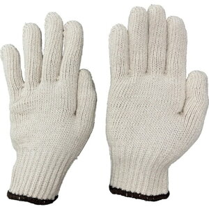 I^tN SP151 ȌR 12o L I^tN SP151 ی Ǝ R(s)