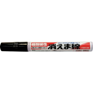 ILc G}  ILc KIEMASENKURO  vpi ʗpi zpML(s)