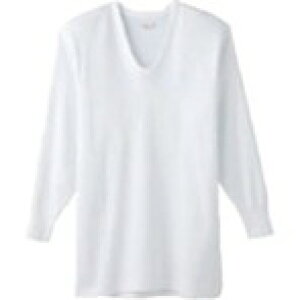 O[ KH[ U O[ KQ3010M ی ƕ (s)