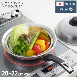 VJ { tCpɂ̂Ďgv[g 20`22cm ̂邾 ȒP ʍ O XeX tCp  SJ3206yz