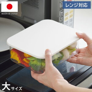 VJ { WRei  RC]210 dqWΉ Rei ۑe ۑRei X[W[ veC R[q[ ͖  pbNP[X