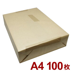 �R�s�[�� �R�s�[�p�� LIMEX�V�[�g ���\�t�gS 300�� A4 100�� �ϐ� �ϋv ���j���[ ���j���[�\ �h�Ѓ}�b�v ���O�|�X�^�[ �G�R(����s��)�y���������z