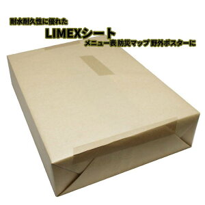 �R�s�[�� �R�s�[�p�� LIMEX�V�[�g ���\�t�gS 300�� A4 50�� �ϐ� �ϋv ���j���[ ���j���[�\ �h�Ѓ}�b�v ���O�|�X�^�[ �G�R(����s��)�y���������z