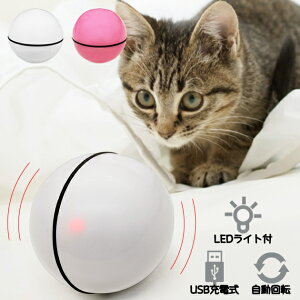 猫 電動 おもちゃ ペットの人気商品 通販 価格比較 価格 Com 猫 電動 おもちゃ ペットの人気商品 通販 価格比較 価格 Com