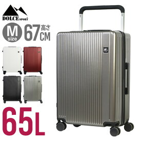 スーツケース Mサイズ 65L ポリカーボネート TSAロック キャリーケース キャリーバッグ トラベル 旅行バッグ 海外(代引不可)【送料無料】