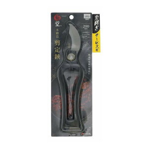 e {b  200mm { nT[rXt(s)