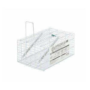 TAKAGI˂ݕߊlJS p^ (s)