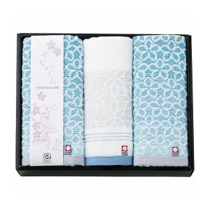 apide ͂Ȃ tFCXEEHbV^IZbg u[ HGM-200BL piG [ | ^I Zbg ^Iyz