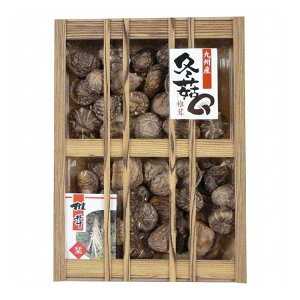 ͕Y BY؂ǂ񂱒ő D-100S O lC  Mtg   񂹃O  蕨yz