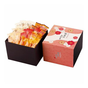 ǂ؂̂ IR-4N ^NZC  ĉَq Mtg O 蕨yz