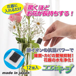 㓡 ԃCLCL!RRXL[v(12) 870329(s)y[֔zzyz