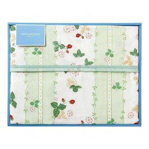 EFbWEbh ChXgx[ Ȗѕz C5091066 G zr[ CeA CeA Q(s)yz