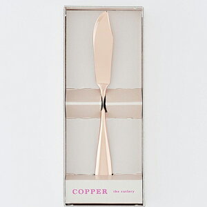 sNS[ho^[iCt1pc CB-1PG G zr[ CeA(s)y[֔zzyz