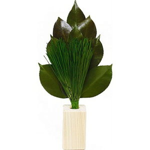 A&K r_S 嗧ăZbg ST-005 G(s)yz