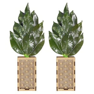 A&K ~jS 嗧ăJo[Zbg ST-023 G(s)yz