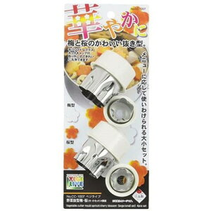 y5Zbgz p[ xWCu ؔ^~E EZbg 4g CC-1007X5 qpi(s)