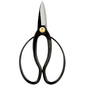 @ A K20881417 G(s)yz