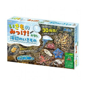 y5Zbgz ARTEC ݂̂!邽 ׂ݂̂ ATC21657X5(s)