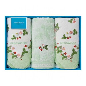 EFbWEbh ChXgx[ tFCX^I3P O[ 34×75cm C6049587(s)