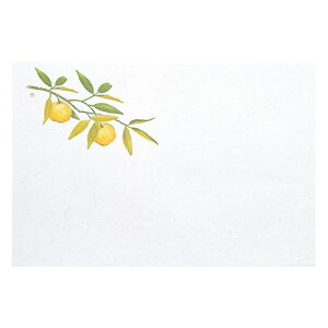 }R[ p Ɩp 3_a΂܂ ͒W Mq (100) yamaco65051(s)yz