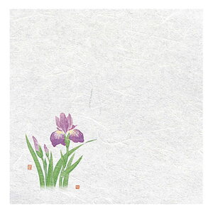 }R[ p Ɩp VEG򏑎 Ҋ (100) yamaco65395(s)yz