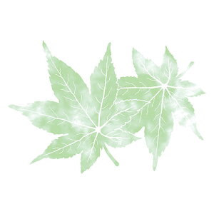 }R[ p Ɩp 3lGʂ܂ ̗t^ ݂ (50) yamaco66779(s)yz