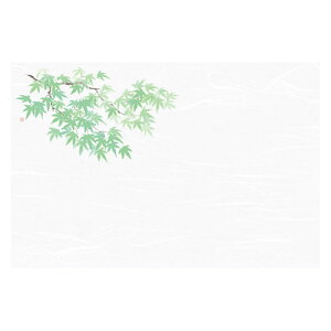 }R[ p Ɩp 3_a΂܂ ͒W ݂ (100) yamaco68045(s)yz