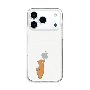 AKAN �\�t�g�N���A�P�[�X for iPhone 17 Pro �����O�̍�������\ �x�A AK27727i17PR(����s��)�y���������z