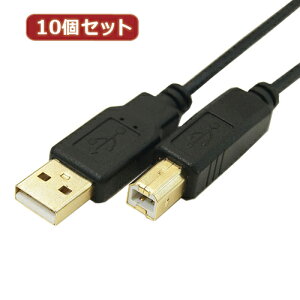 �ϊ����l �y10�Z�b�g�z �ɍ�USB�P�[�u��A�I�X-B�I�X 1m USB2A-B/CA100X10 �p�\�R�� �p�\�R�����Ӌ@�� �ϊ����l