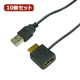 【10個セット】 HORIC HDMI-USB電源アダプタ HDMI-138USBX10 家電 オーディオ関連 AVケーブル【送料無料】