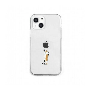 dparks \tgNAP[X for iPhone 13 mini lR DS21135i13MN(s)y[֔zzyz