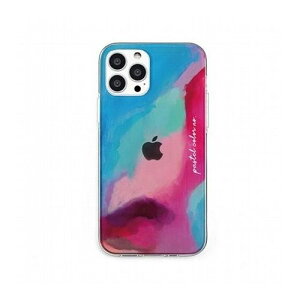 dparks �\�t�g�N���A�P�[�X for iPhone 13 Pro Pastel color PINKBLUE DS21199i13P(����s��)�y���[���֔z���z�y���������z