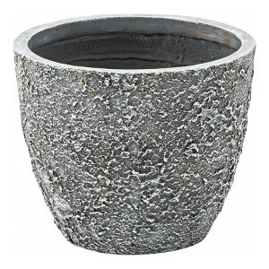 �O���[���x�[�X ��31×���s31×����25 �_���}�O�l�V�E�� 6���p(����s��)�y���������z