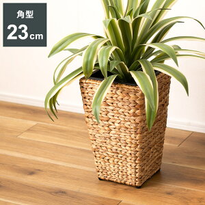 v^[ p^ 5p pnC^Cv v^[  AWA ϗtA A Vv EH[^[qVX G CeA  uE F ҂  S~ [(s)y