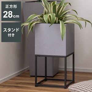 X^ht ` 6p v^[ v^[  X^ht _ C_XgA Vv O[ A ϗtA CeA(s)yz