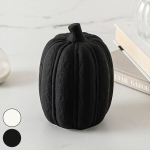 t[cIuWF CLY-42 J IuWF ڂ  u CeAG    }bgdグ A[g  RpNg Ϗ rO 킢  ubN(s)y