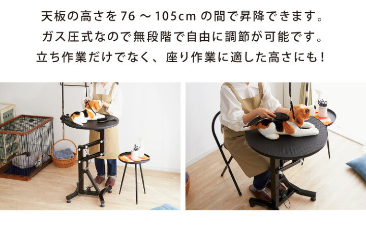 楽天市場】昇降式 小型 トリミングテーブル ガス圧 テーブル 360度 