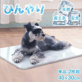 ひんやりマット クールマット 大理石マット 犬 猫 夏 暑さ対策 熱中症対策 冷却 接触冷感 お手入れ簡単 角丸 ゴム脚付き 40×30cm 小型犬 中型犬 大型犬 うさぎ 安全素材 ホワイト 単品 2枚組 夏バテ対策 室内 ペットボード 送料無料