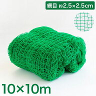 バックネット 野球 10×10m 網目2.5cm グリーン 防球ネット ネット 保護用ネット 養生 多目的ネット ゴル…