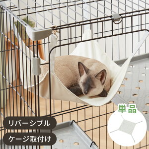 ybgpnbN AC{[ 40×39.5cm ω׏d10kg o[Vu z tbNt \ Vv i` k  LnbN ~jnbN L Q CeA z |