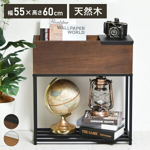 v^[ ` 55cm ˂̓VR؂̃v^[X^h LID W550×D220×H600mm v^[bN TChe[u AX^h v^[Jo[ v^[VFt AbN Jo[(