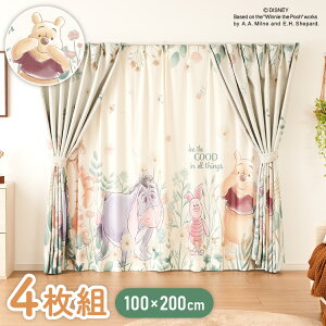 v[J[eZbg 4g 100×200cm ՌJ[e [XJ[e 􂦂  J[e tbN ^bZt  킢 fBYj[ ܂̃v[ sObg eBK[ C[