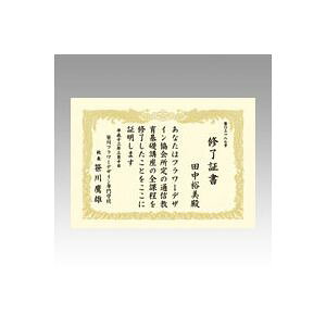 TTK OA܏p10 A4cN[ 1  10-1067 [ ItBX pi