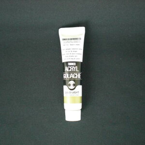 �^�[�i�[�F�� �A�N�����K�b�V�� 11CC �S�[���h���C�g 1 �{ AG011070 ���[�� �I�t�B�X �p�i